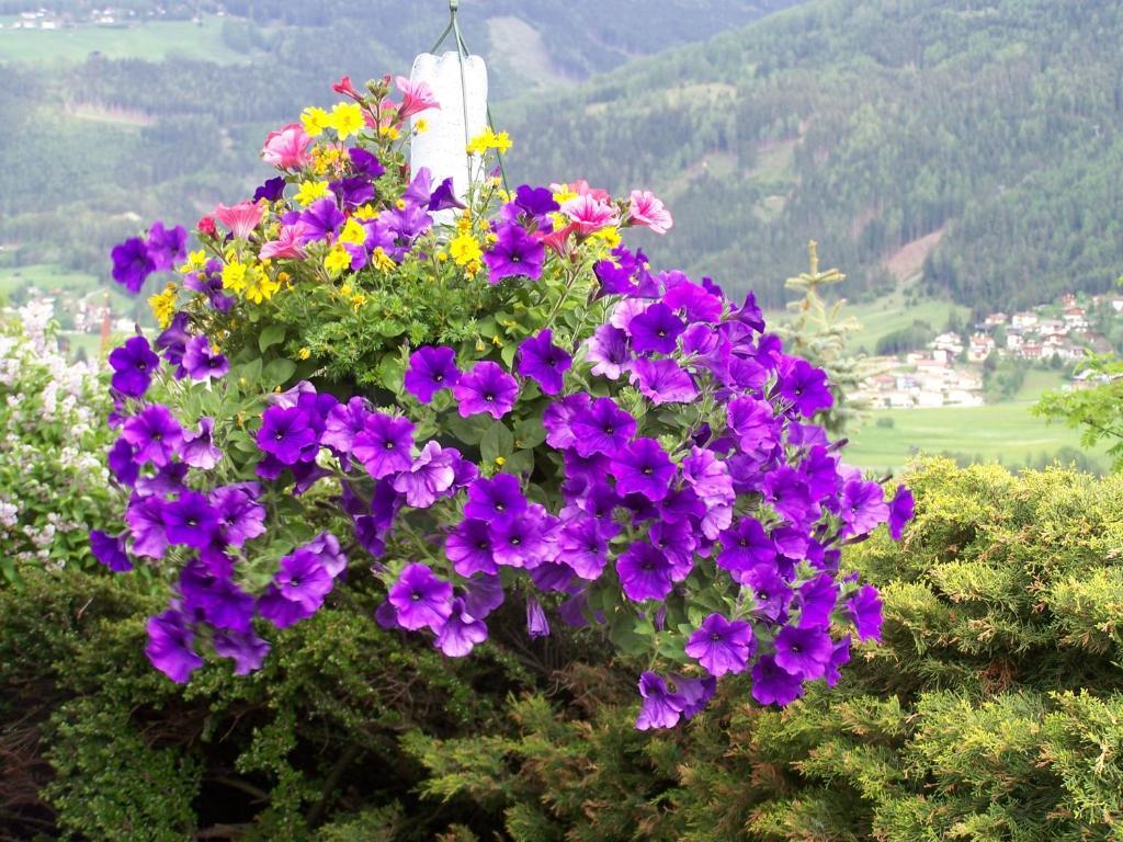 Haus Leitgeb Apartment Telfes im Stubai Luaran gambar