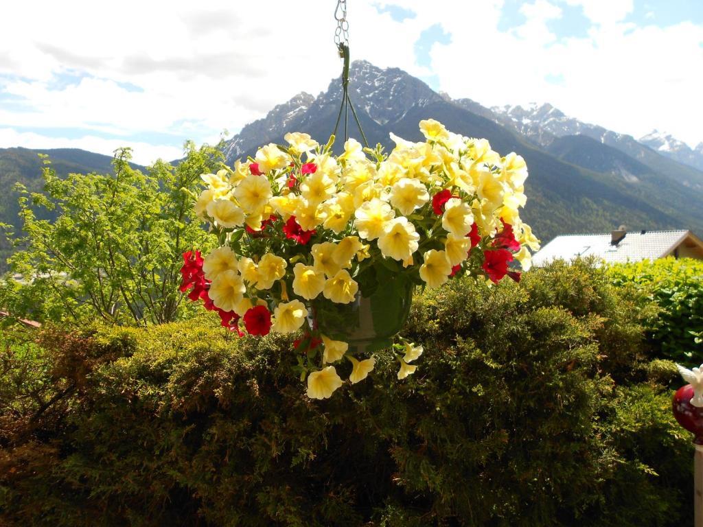 Haus Leitgeb Apartment Telfes im Stubai Luaran gambar